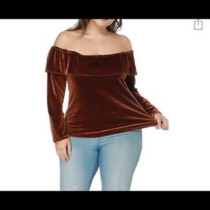 Brown Velvet Off The Shoulder Tops Plus Size